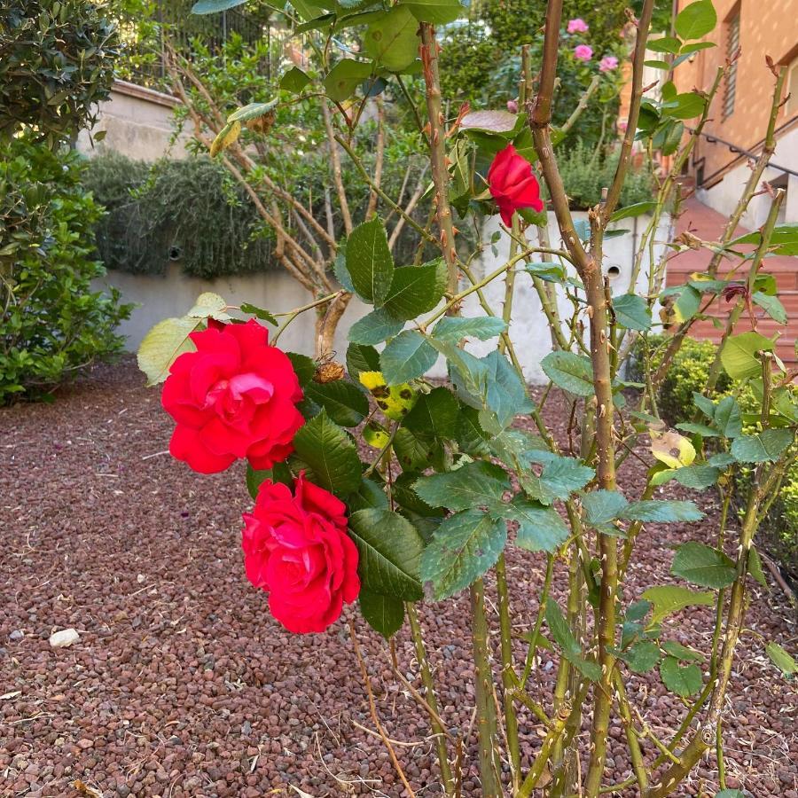 B&B Al Viale Macerata Luaran gambar